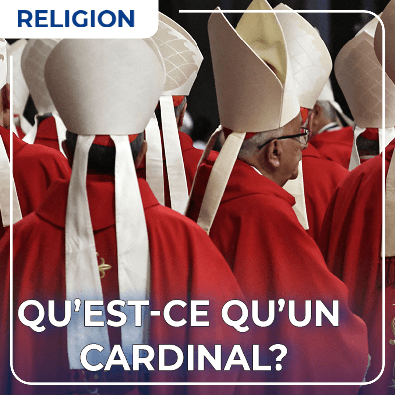 Qu'est-ce qu'un cardinal ?