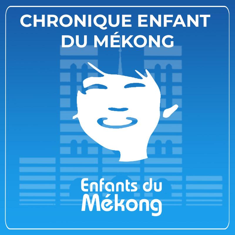 Chronique Les Enfants du Mékong